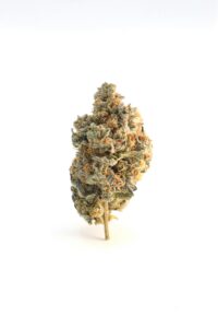 mrchrisby-bX2TNiEPjes-unsplash
